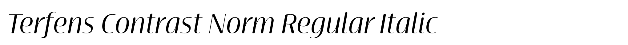 Terfens Contrast Norm Regular Italic image